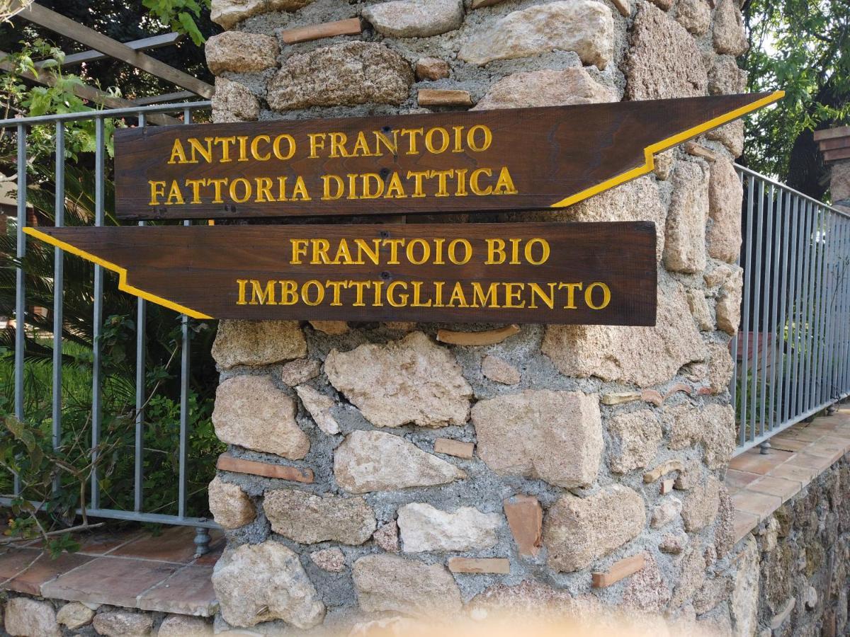 Il Mandorlo Βίλα Amantea Εξωτερικό φωτογραφία