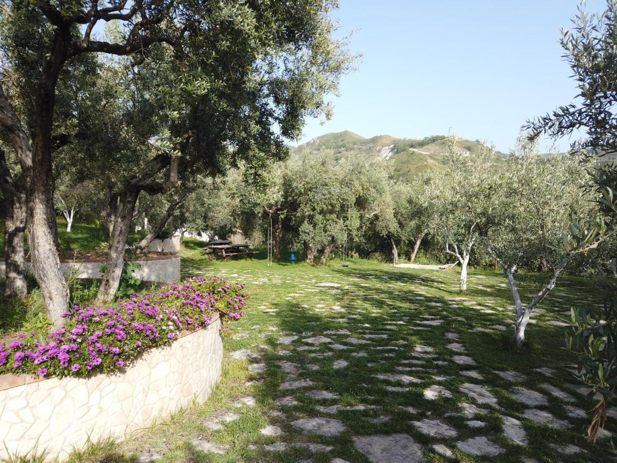 Il Mandorlo Βίλα Amantea Εξωτερικό φωτογραφία