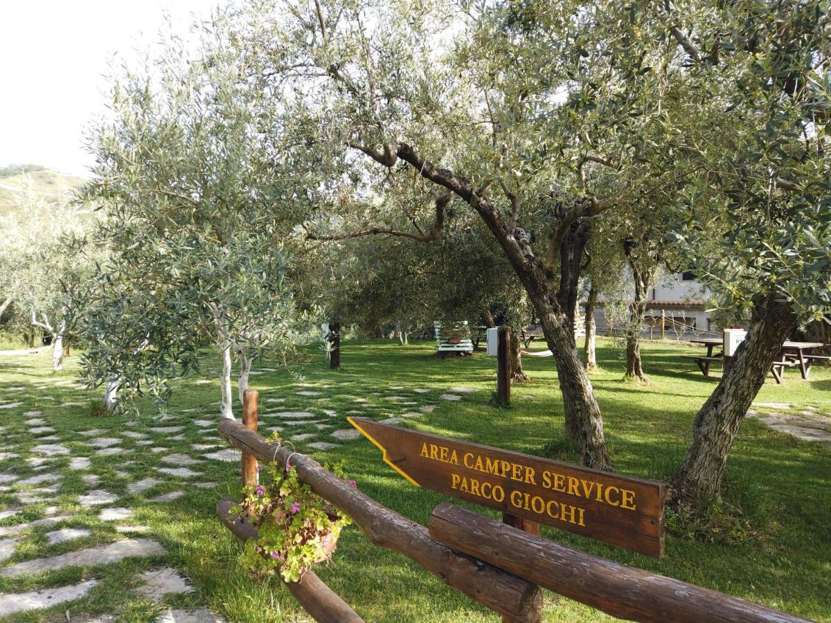 Il Mandorlo Βίλα Amantea Εξωτερικό φωτογραφία