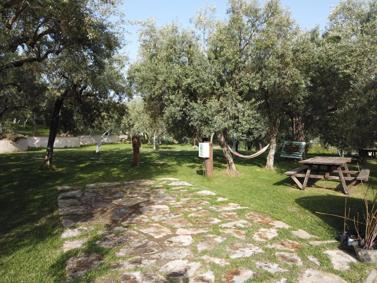 Il Mandorlo Βίλα Amantea Εξωτερικό φωτογραφία