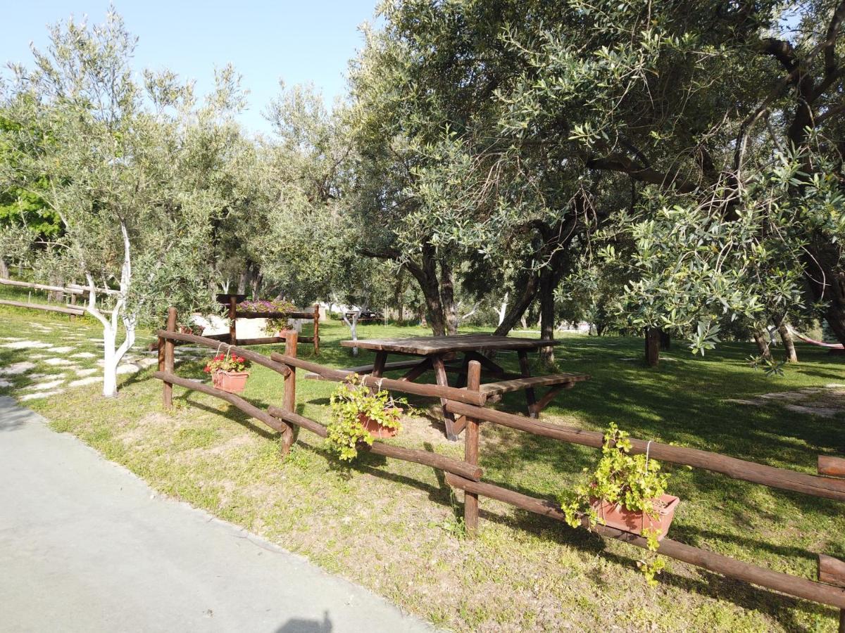 Il Mandorlo Βίλα Amantea Εξωτερικό φωτογραφία