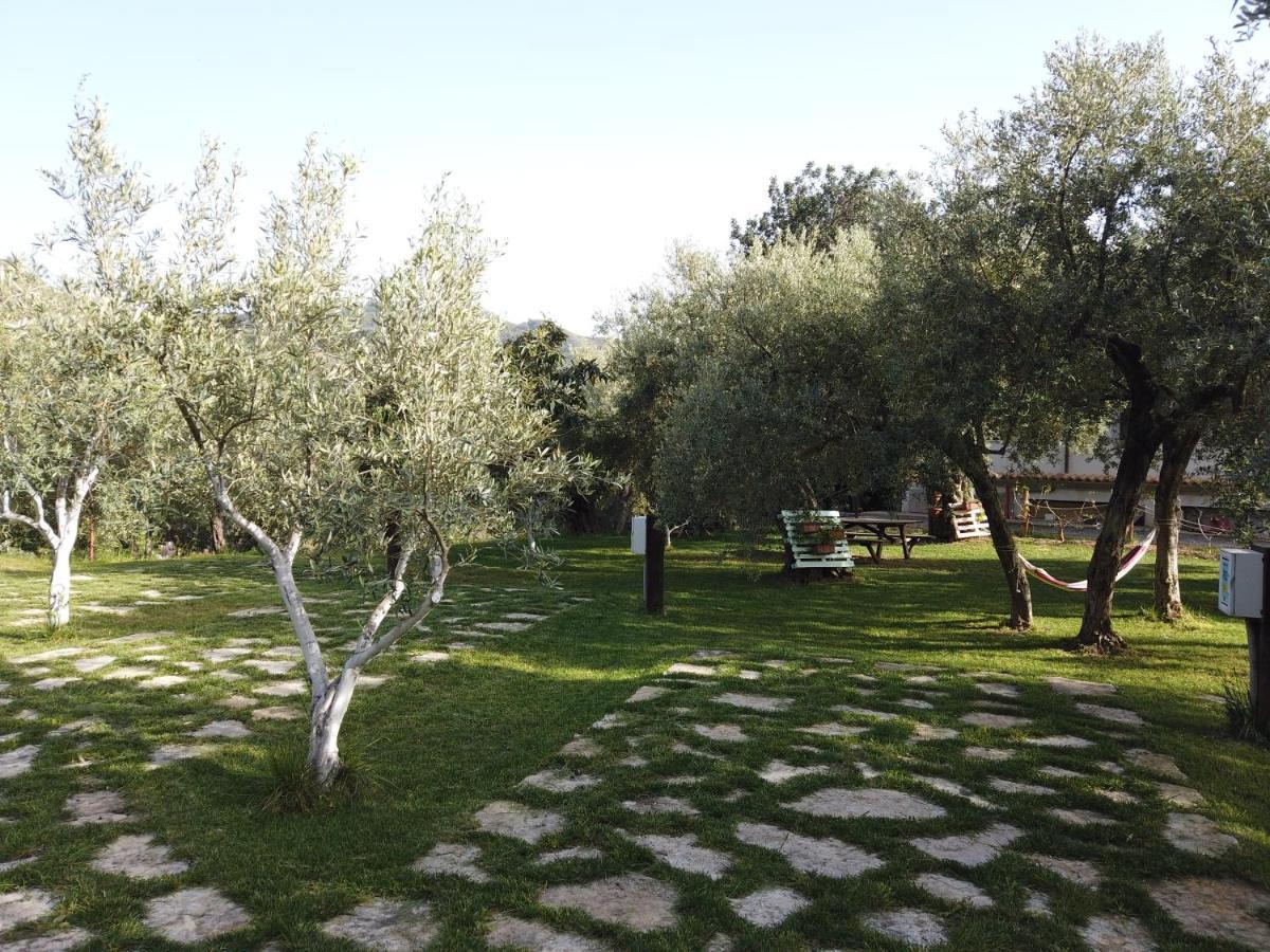 Il Mandorlo Βίλα Amantea Εξωτερικό φωτογραφία