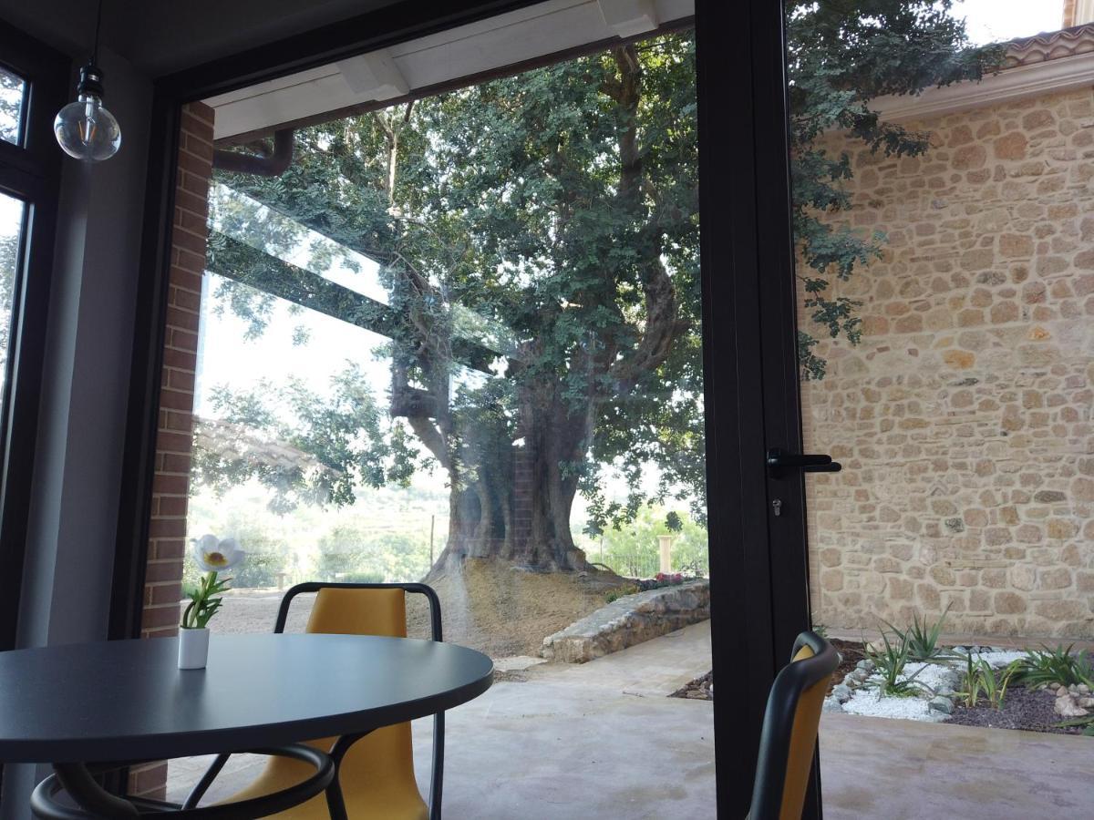 Il Mandorlo Βίλα Amantea Εξωτερικό φωτογραφία