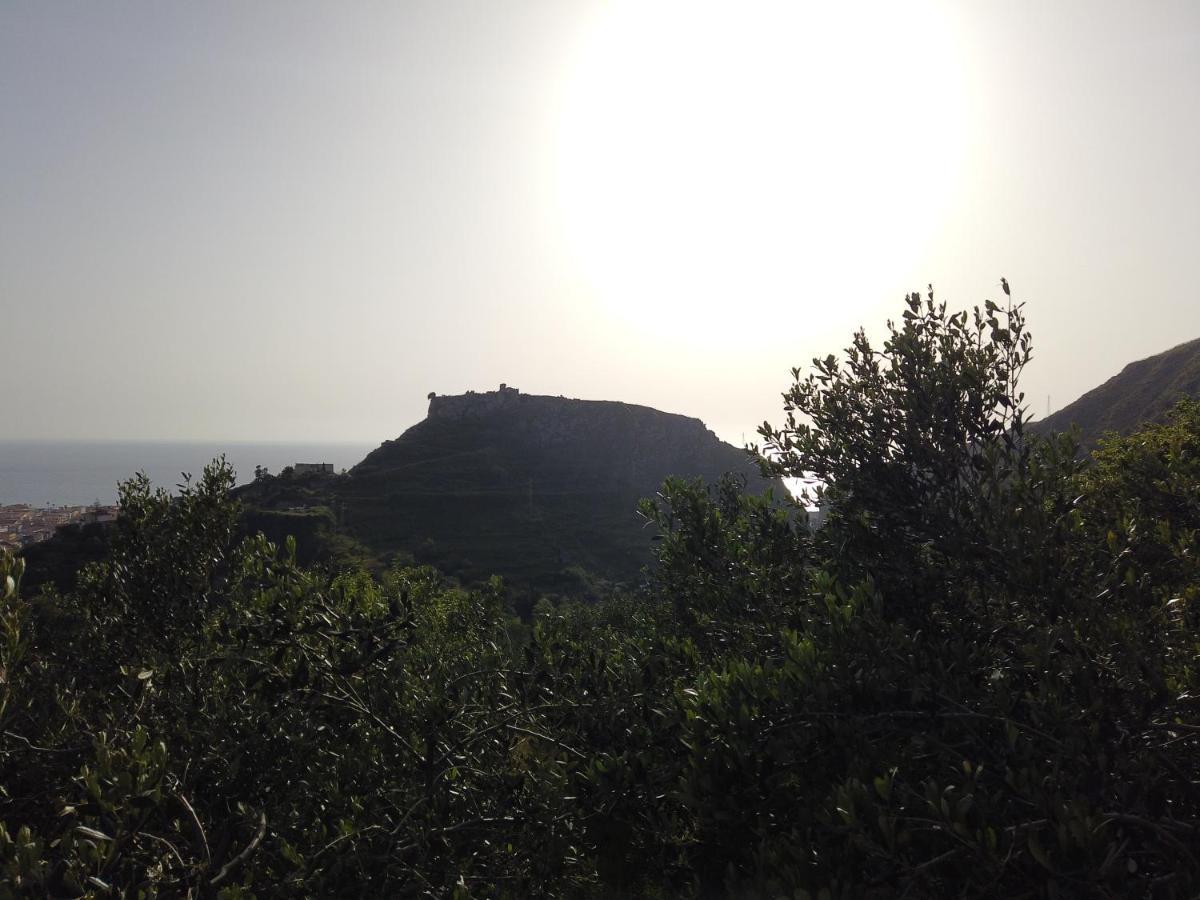 Il Mandorlo Βίλα Amantea Εξωτερικό φωτογραφία