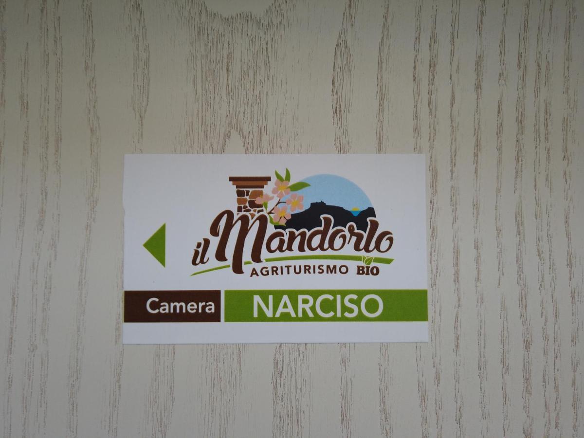 Il Mandorlo Βίλα Amantea Εξωτερικό φωτογραφία